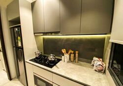 Parc Clematis (D5), Apartment #388724961